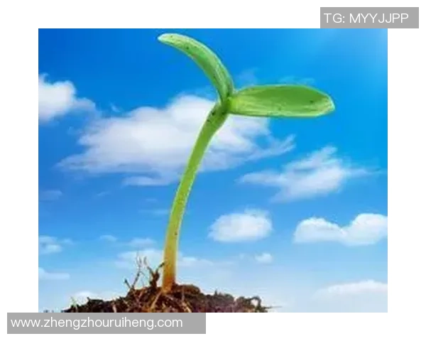 张宁的成长之路：从青涩少年到职场精英的励志故事