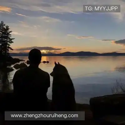 晏清飚